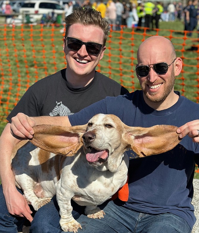 There was no ‘longest ears” contest, but Stubbs, 5 yr old Basset Hound, seemed a likely winner, as demonstrated by owners Max Cowan and Sam Giller of Alexandria