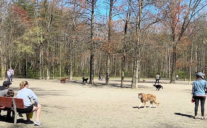 Grist Mill Park offers a 4 out of 5 bone rated dog park for year round use