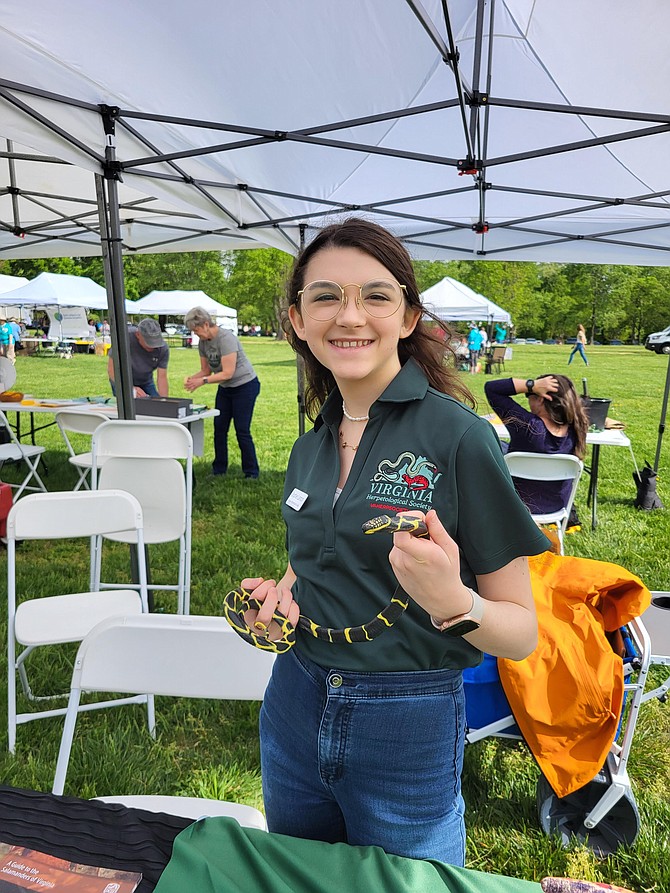 Sophie Larson holding a rubber snake in the herpetology tent.