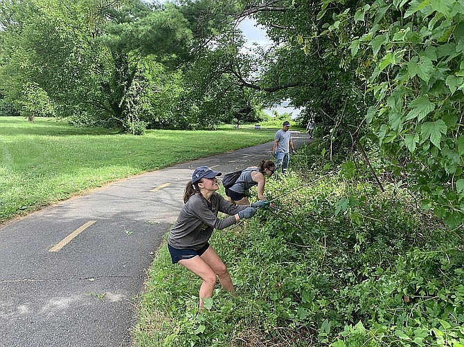 Volunteers with Friends of the Mount Vernon Trail tackle the weeds along the trail which get out of hand otherwise.