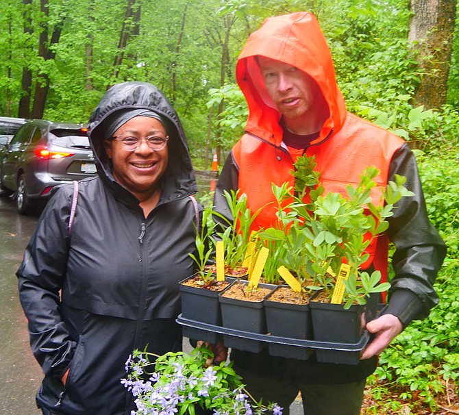 Miranda Carter and Michael Nelson are buying plants that need sun since a big tree came down in their backyard and changed the landscape.