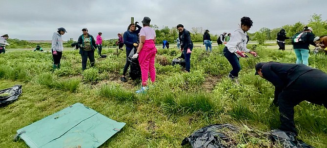 Sorority members stretched their muscles and their knowledge of native and invasive plants while prepping the park pollinator garden for the growing season