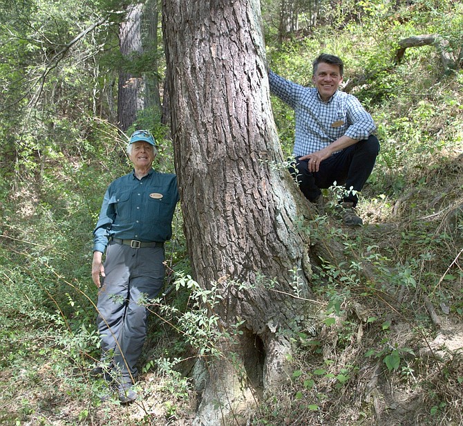 Old-Growth Forest Network board president and Virginia Master Naturalist Jeff Wright, and Mid-Atlantic Regional manager Brian Kane, a landscape architect, celebrate Hemlock Overlook Regional Park’s induction into the Old-Growth Forest Network, by hugging a Hemlock