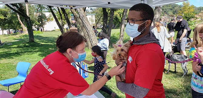 A volunteer vet and AWLA staff member providing vet care to a community member's dog at a Pets and People Community Wellness event.