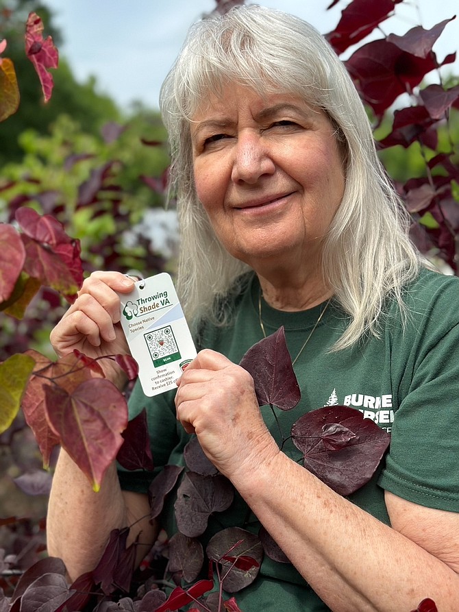 Nursery horticulturist Misty Kuceris shows the Throwing Shade VA tag that identifies a Redbud tree as a native species