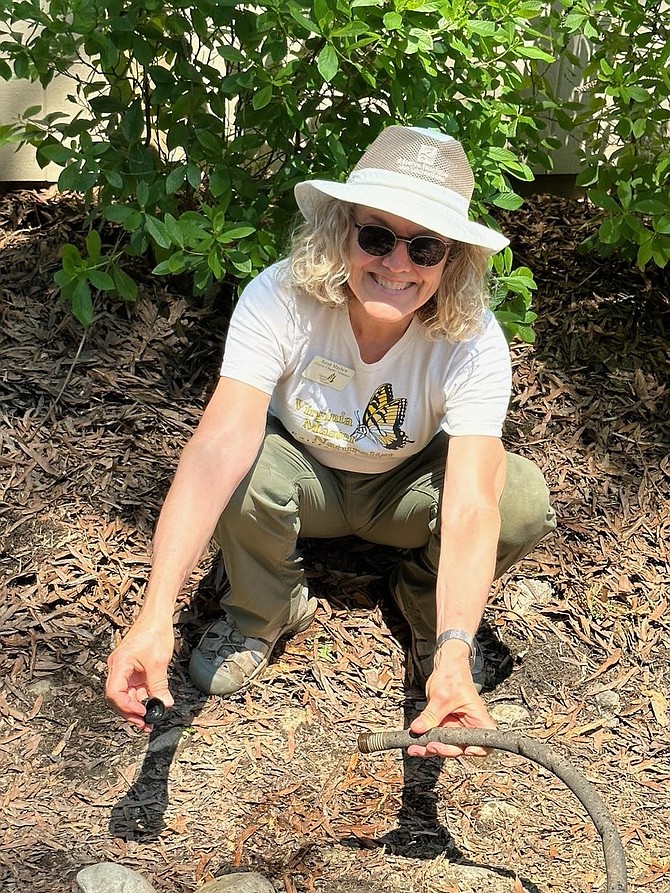Fairfax Chapter President Sarah Mayhew is pleased to see the power of rain barrel pressure to feed a soaker hose in the restored Mason Neck State Park garden
