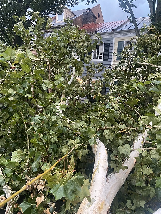 ROUND TWO – Residents on N. Pitt Street saw trees come down amid the high winds and tornado watch issued for the region Aug. 7. Several cars and homes suffered damage less than 10 days following the violent thunderstorms that moved through the area July 30, leaving more than 17,000 Alexandrians without power due to wind gusts as high as 80 miles per hour downing trees and power lines across the city.