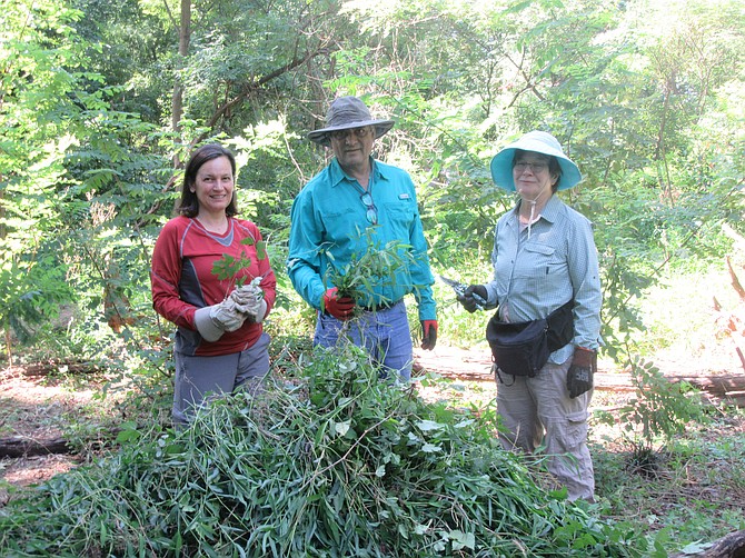 Kathy Killian, Clarence Monteiro and Nancy Herrmann and others pulled up three big piles of stiltgrass on August 19.