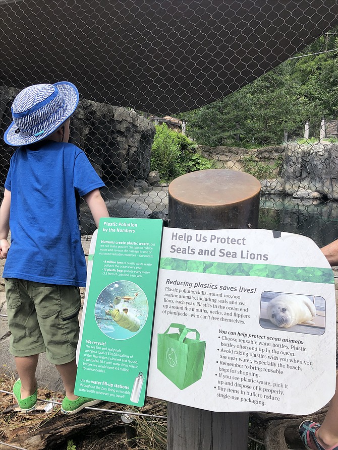 The sea lions at the National Zoo attract the attention of a young visitor. The sign next to the exhibit points out the damage plastics do to sea life.