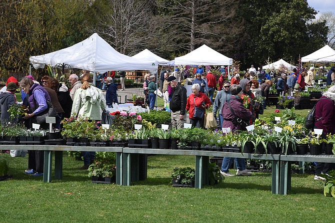 2024 American Horticultural Society’s annual Spring Garden Market at River Farm will be April 12-13. Here, a scene from a previous year.