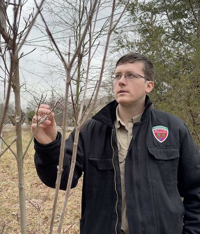 Department of Forestry community forester Jacob Zielinski, finds RREHOA’s project trees already forming buds during a visit to the project site