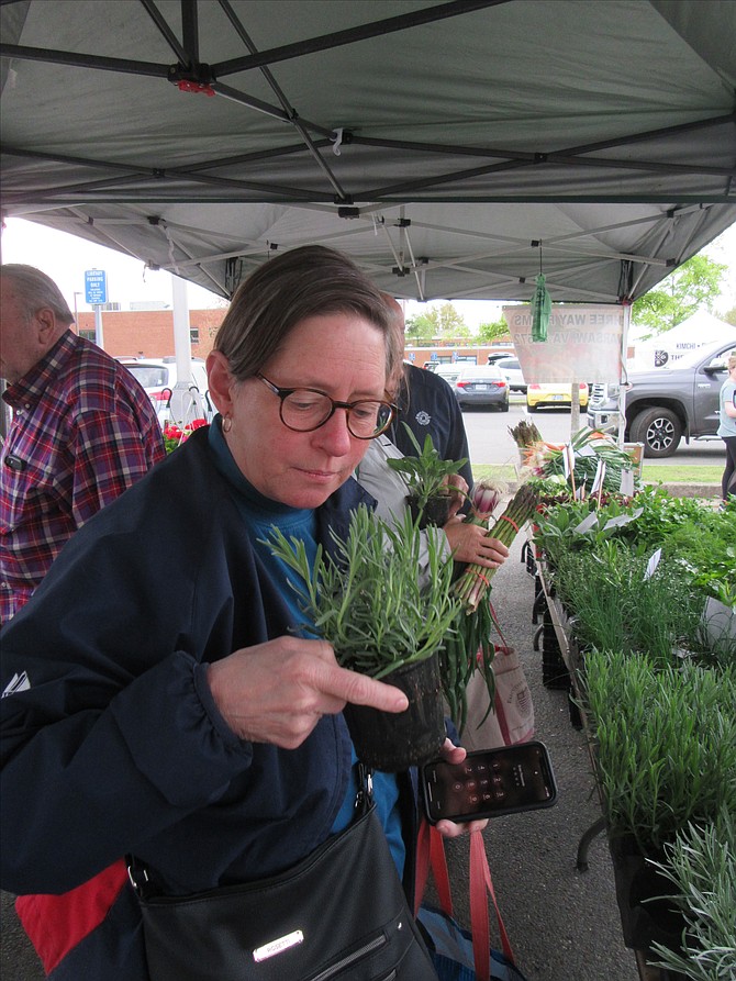 Caroline Ross, Riverbend Bistro chef, sniffed the herbs.