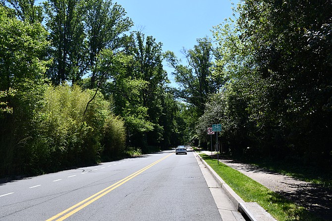 Tree cover at Follin Lane near Wildwood Park.