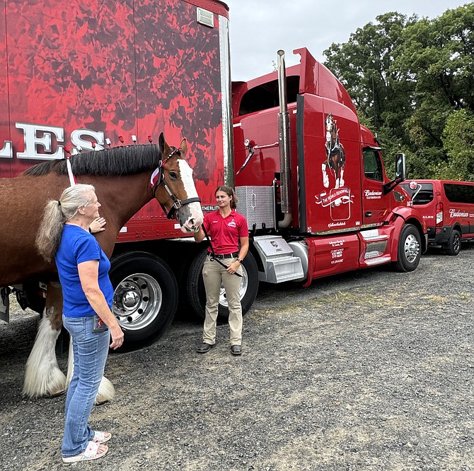 Budweiser graciously held a meet and greet with photo op for admirers while visiting the Metro area