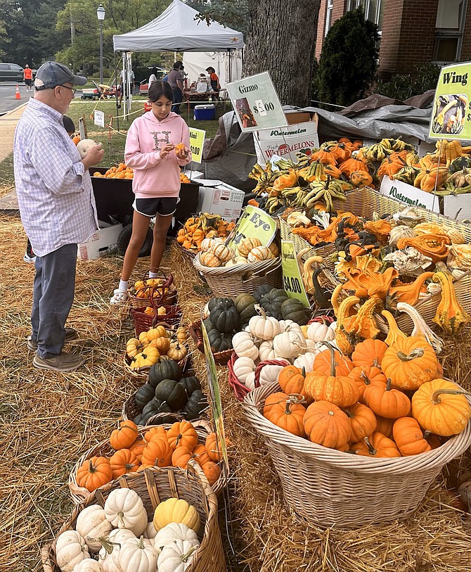 An assortment of gourds and autumn crafts is available at the Immanuel Church-on-the-Hill Pumpkin Patch.