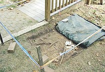 photo thumbnail