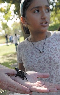 photo thumbnail