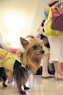photo thumbnail