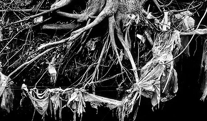 Photo detail
