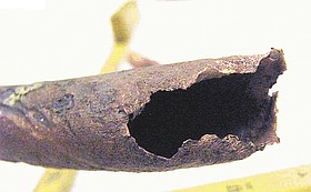 Photo detail