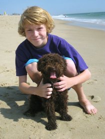 photo thumbnail