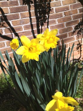Photo detail
