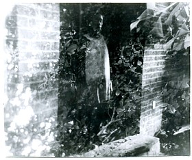 Photo detail