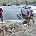 photo thumbnail