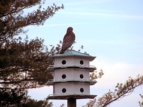 Photo detail