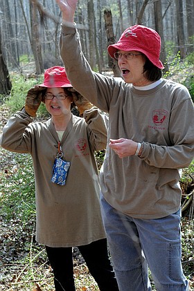 Photo detail