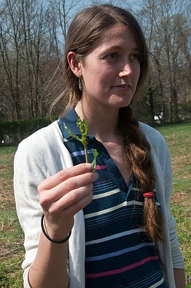 Photo detail