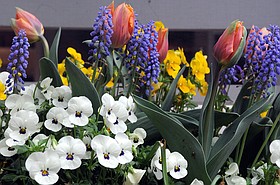 Photo detail