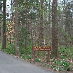Photo detail