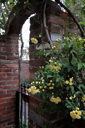 Photo detail