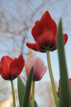 Photo detail