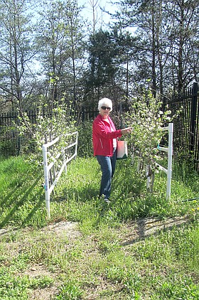 Photo detail