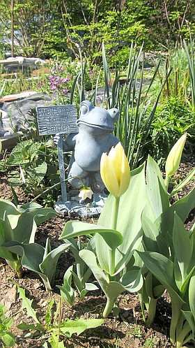 Photo detail