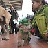 photo thumbnail