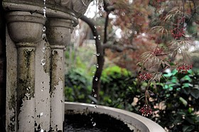 Photo detail