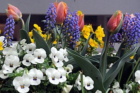 Photo detail