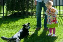 photo thumbnail