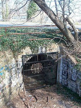 Photo detail
