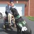 photo thumbnail