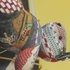 photo thumbnail