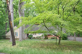 Photo detail