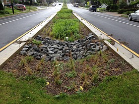 Photo detail
