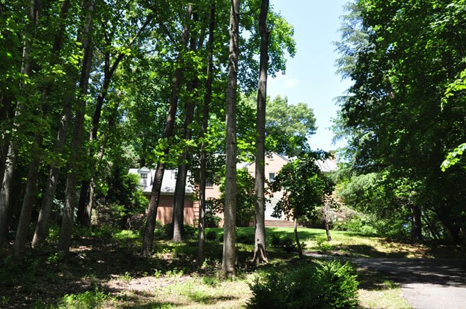 Photo detail