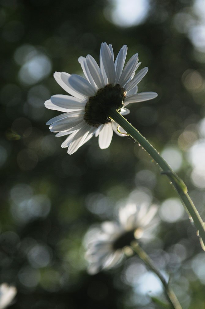 Photo detail