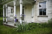 photo thumbnail
