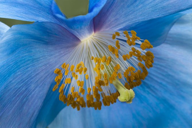 Photo detail